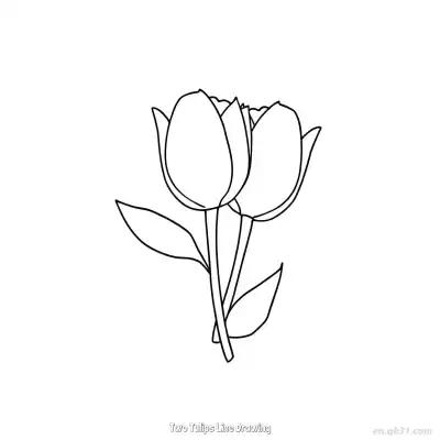 Free printable Two Tulips Line Drawing  Coloring Page - Free PDF Printable Tulips Coloring Sheets coloring page