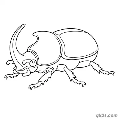Free printable Realistic Rhinoceros Beetle Coloring Page coloring page