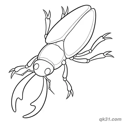 Free printable Realistic Stag Beetle Coloring Page coloring page