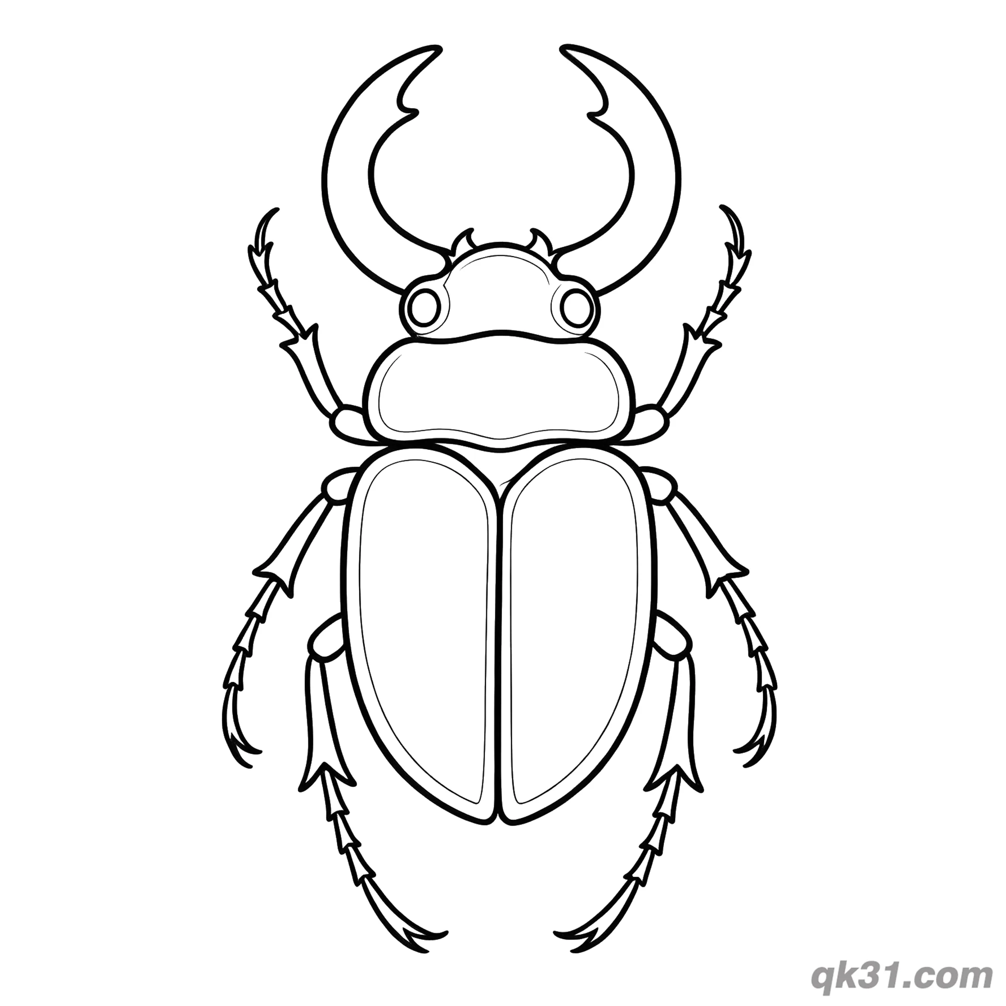 Symmetrical Front View Stag Beetle Coloring Page – Free Printable Coloring Page for Kids and Adults