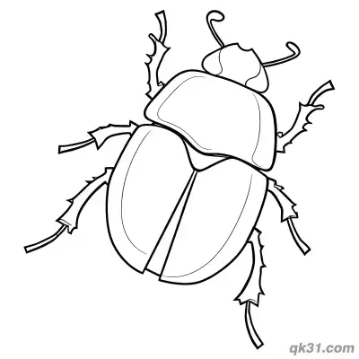 Free printable Top View Realistic Beetle Coloring Page coloring page