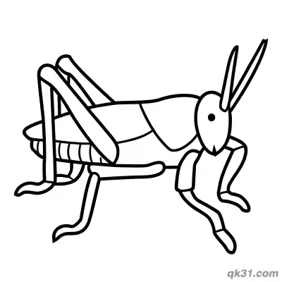 Free printable Minimalist Realistic Side Profile Grasshopper Coloring Page coloring page