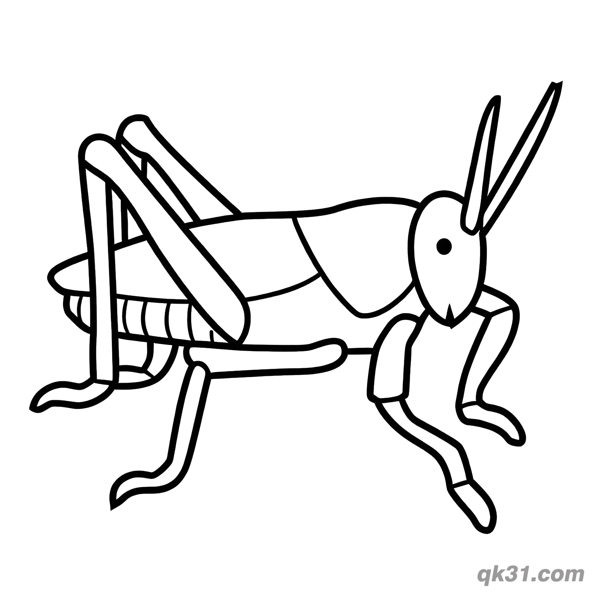 Minimalist Realistic Side Profile Grasshopper Coloring Page – Free Printable Coloring Page for Kids and Adults