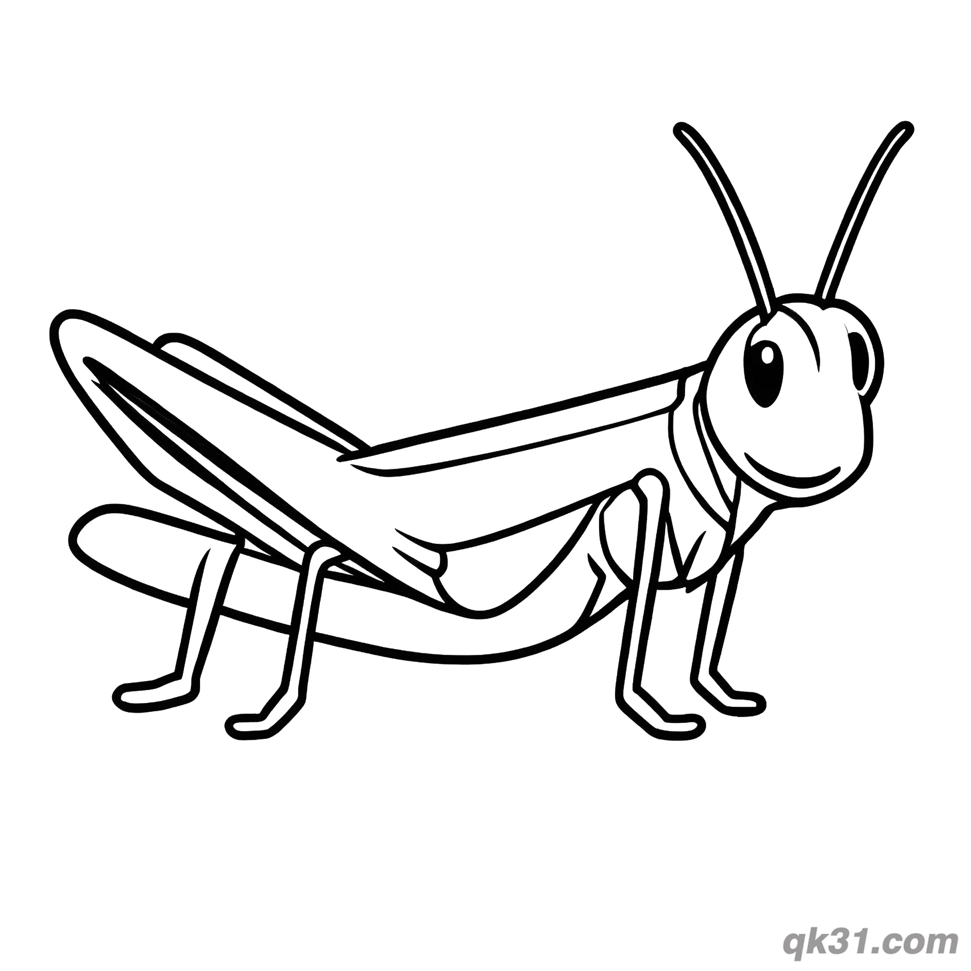 Simple Educational Grasshopper Side View Coloring Page – Free Printable Coloring Page for Kids and Adults