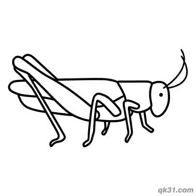 Free printable Simple Realistic Grasshopper Side View Coloring Page coloring page