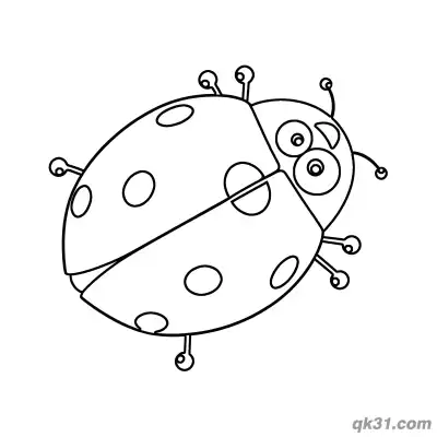 Flat Top Down Ladybug Coloring Page