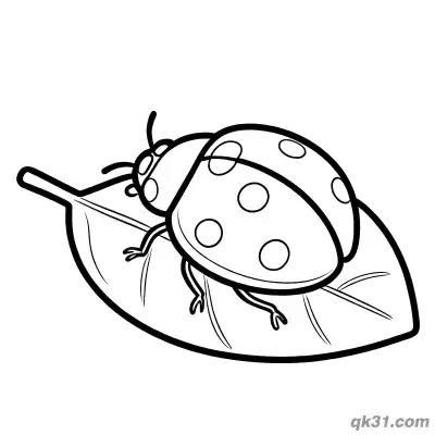 Ladybug Resting on Leaf Coloring Page