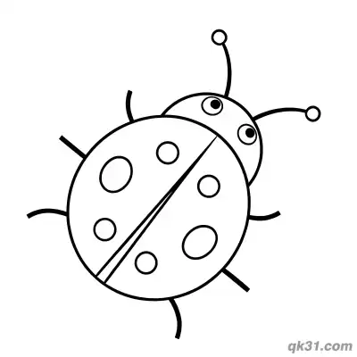 Minimalist Top Down Ladybug Coloring Page