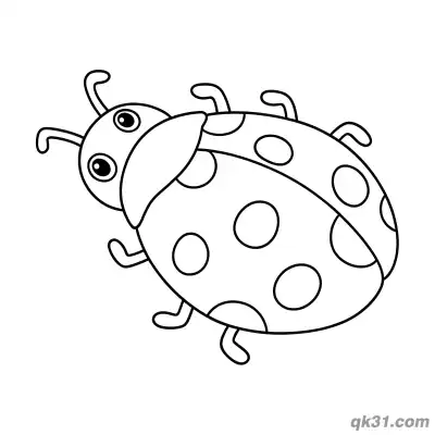 Free printable Simple Side Top Realistic Ladybug Coloring Page coloring page
