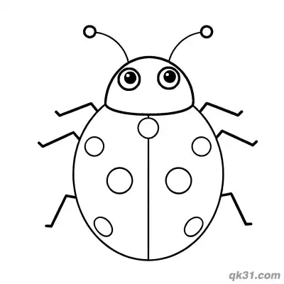 Free printable Standard Symmetrical Ladybug Front View Coloring Page coloring page