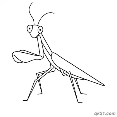 Minimalist Slender Realistic Praying Mantis Coloring Page