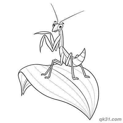 Free printable Praying Mantis Standing on Leaf Coloring Page coloring page