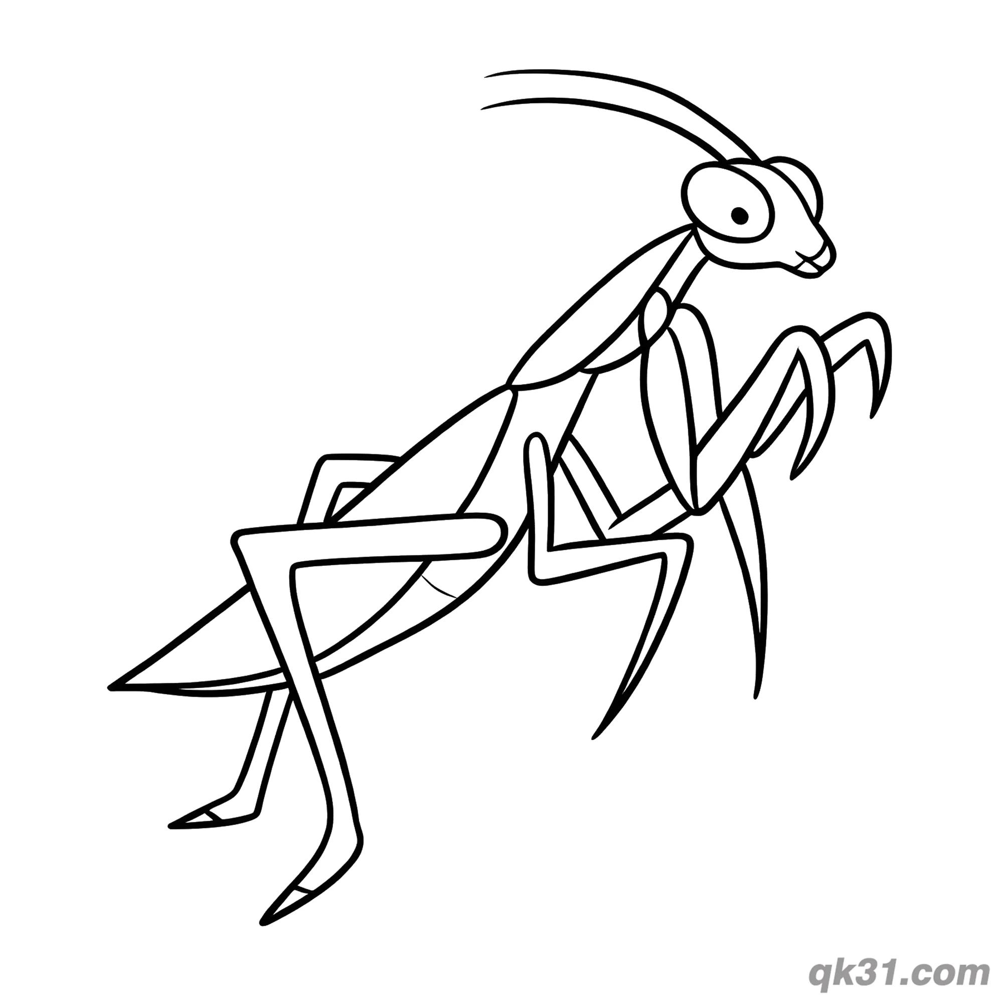 Realistic Praying Mantis Side Profile Coloring Page – Free Printable Coloring Page for Kids and Adults