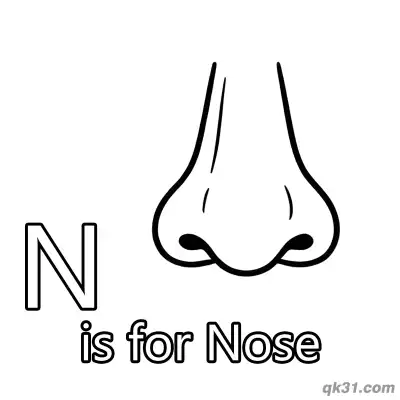 Free printable Letter N is for Nose Coloring Page Human Face Anatomy Printable for Toddlers coloring page