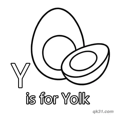 Free printable Letter Y is for Yolk Coloring Page Egg Anatomy Food Printable coloring page
