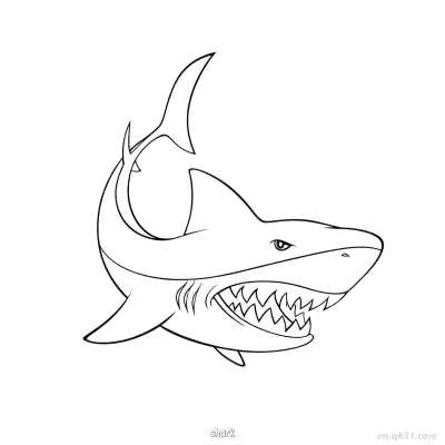 Free printable Aggressive Great White Shark Outline Drawing  coloring page