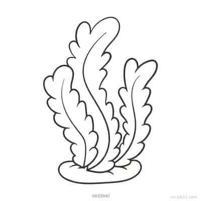 Free printable Fluffy Wavy Seaweed Kelp Drawing  coloring page