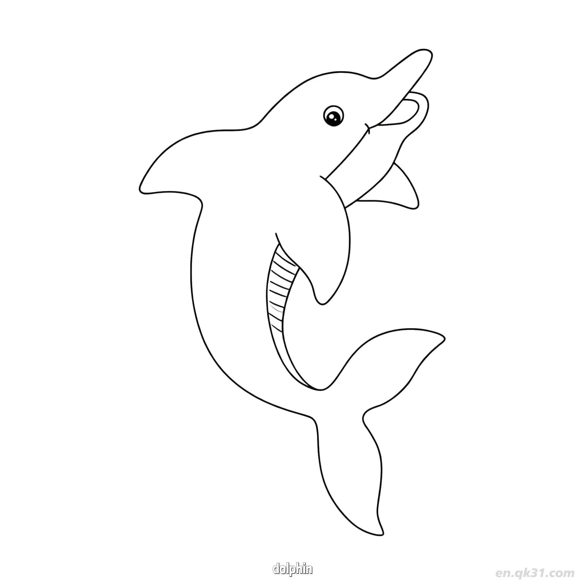 Leaping Dolphin with Belly Lines Coloring Page – Free Printable Coloring Page for Kids and Adults