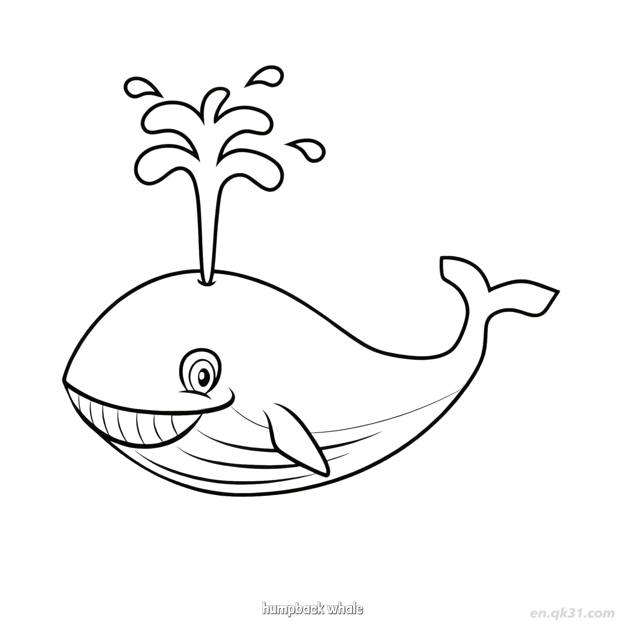 Spouting Humpback Whale Coloring Page  – Free Printable Coloring Page for Kids and Adults