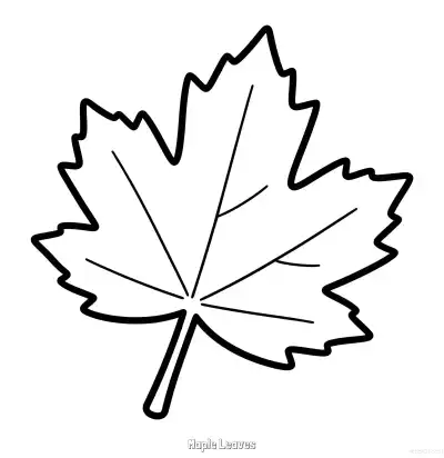 Free printable Maple Leaves 1 Coloring Page - Free Printable fall PDFS Coloring Sheets coloring page