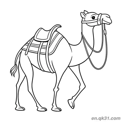 Free printable Dromedary Camel Walking with Saddle and Harness Coloring Page coloring page