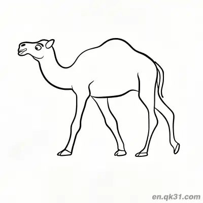 Free printable Simple Dromedary Camel in Walking Pose Coloring Page coloring page