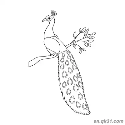 Free printable Cartoon Peacock Perched on a Branch with Long Tail Coloring Page coloring page