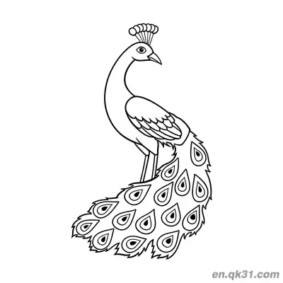 Free printable Cartoon Peacock Perched on a Branch with Long Tail Feathers Coloring Page coloring page