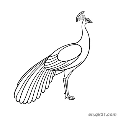 Free printable Minimalist Realistic Peacock with Long Tail Feathers Coloring Page coloring page