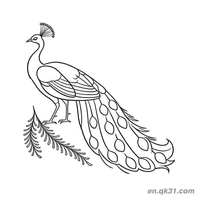 Free printable Realistic Peacock Standing by Plants with Long Tail Coloring Page coloring page
