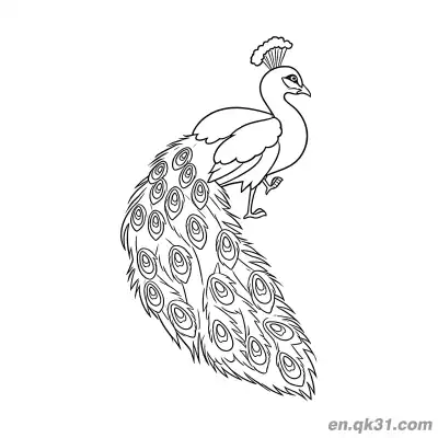 Free printable Realistic Peacock Standing on One Leg with Long Tail Coloring Page coloring page