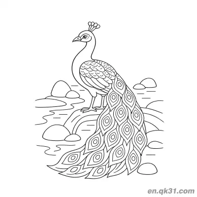 Free printable Realistic Peacock Standing on Rocks by Water Coloring Page coloring page