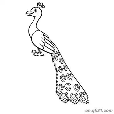 Free printable Realistic Peacock Standing with Closed Tail Feathers Coloring Page coloring page