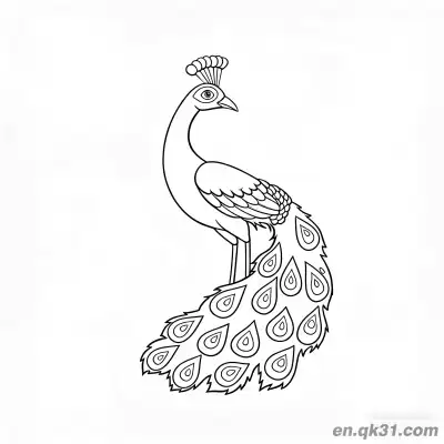 Free printable Realistic Peacock with Sideways Spread Tail Feathers Coloring Page coloring page