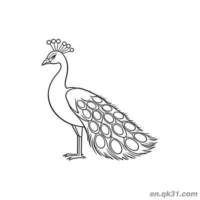 Free printable Realistic Style Peacock with Long Tail Feathers Coloring Page coloring page
