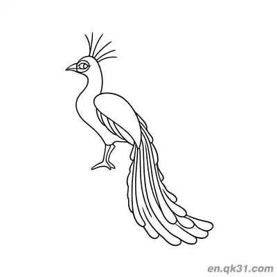 Free printable Realistic Style Peacock with Thin Lines and Long Tail Coloring Page coloring page