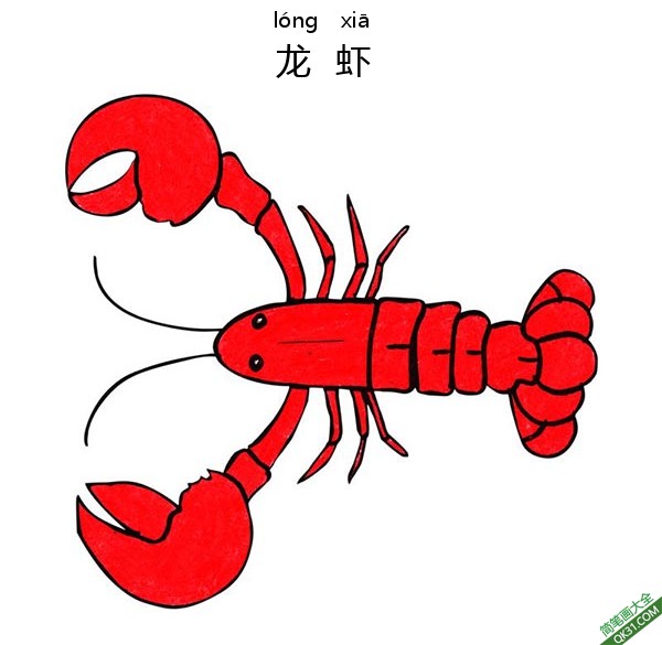 怎样教孩子们一步步画一个 卡通小龙虾Cartoon Lobster|简笔画|素描|涂鸦|涂颜色