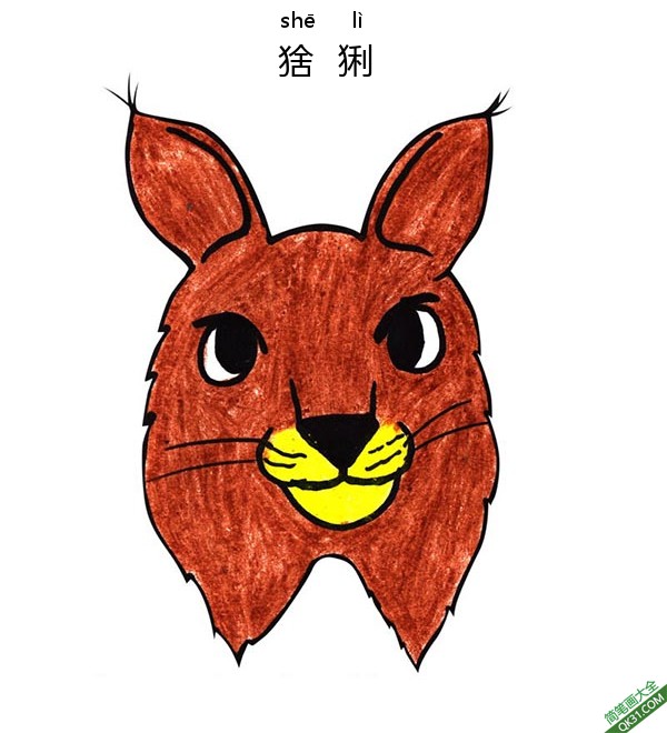 如何为孩子们画一张猞猁的脸Lynx face|简笔画|素描|涂鸦|涂颜色