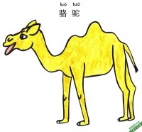 怎样教孩子们一步步画一个卡通骆驼Cartoon Camel|简笔画|素描|涂鸦|涂颜色