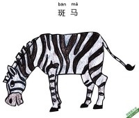 怎样教孩子们一步步画一个 卡通 斑马Zebra|简笔画|素描|涂鸦|涂颜色