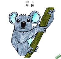 怎样教孩子们一步步画一个 卡通考拉Koala|简笔画|素描|涂鸦|涂颜色