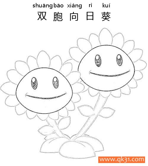 植物大战僵尸-双头向日葵|双胞向日葵|简笔画|素描|涂鸦|涂颜色