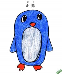 怎样教孩子们一步步画一个 卡通 企鹅Fairy Penguin|简笔画|素描|涂鸦|涂颜色