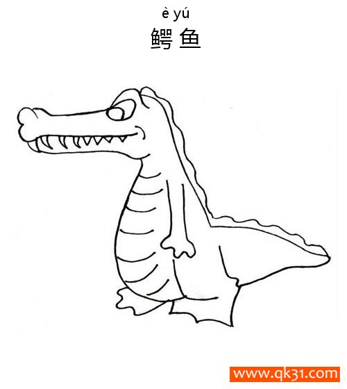 鳄鱼 Crocodile 两栖动物Amphibians|简笔画|素描|涂鸦|涂颜色