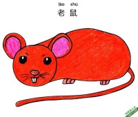 怎样教孩子们一步步画一个 卡通老鼠Dormouse|简笔画|素描|涂鸦|涂颜色