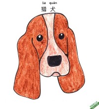 如何为孩子们画一张猎犬的脸Bloodhound Dog Face|简笔画|素描|涂鸦|涂颜色