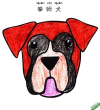 如何为孩子们画一个拳师犬脸Boxer Dog Face|简笔画|素描|涂鸦|涂颜色